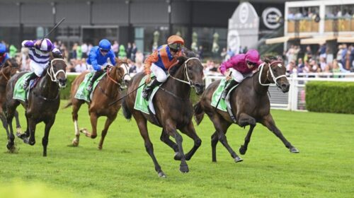 Verry-Elleegant-Stakes-Day-2025-Promos-1