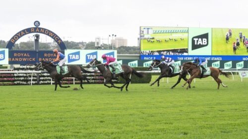 Verry-Elleegant-Stakes-Day-2025-Race-Rep