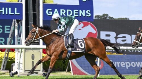 Via-Sistina-Ranvet-Stakes-1024x683-1-500