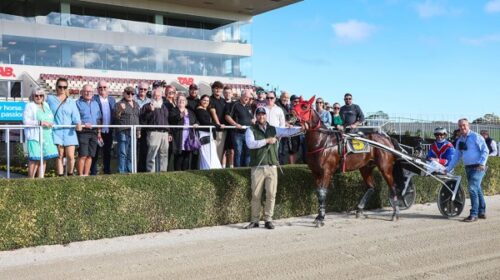 Whos-ya-Daddy-connections-blog-March-202