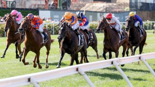 William-Reid-Stakes-Day-2025-Replays-102