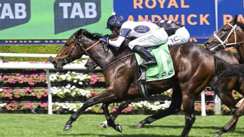 Within-The-Law-Sweet-Embrace-Stakes-1024