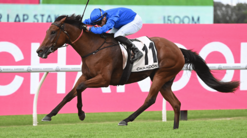 Zardozi-Phar-Lap-Stakes-1024x683-1-500x2