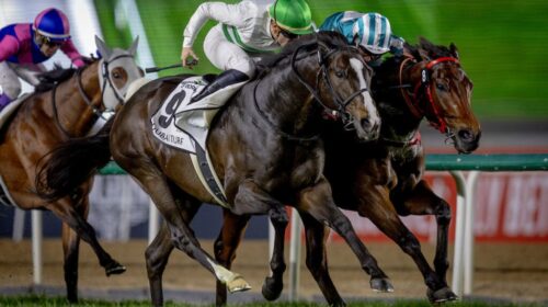 1-20250406-story-25-0405-DubaiTurf-002-E