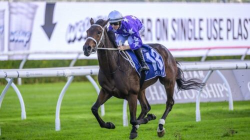 Aeliana-Australian-Derby-1024x683-1-500x