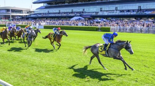 Alalcance-Chairmans-Quality-1024x683-2-5