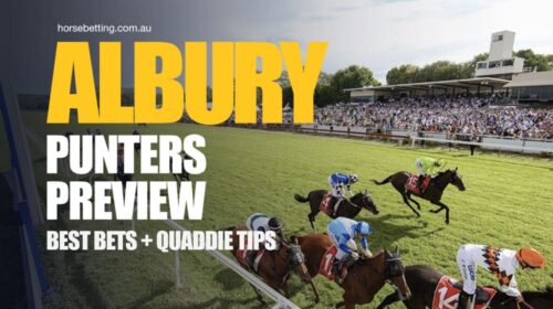 Albury-Punters-Preview-1024x650-1-500x28