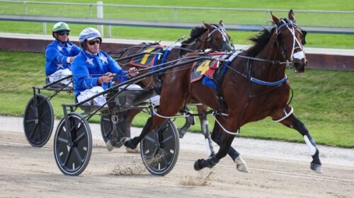 Alecto-Purdon-quinella-Addington-April-2