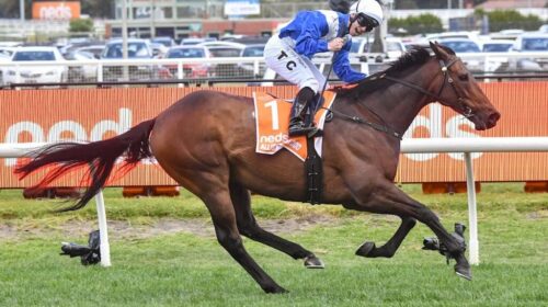 Alligator-Blood-Might-And-Power-1024x683