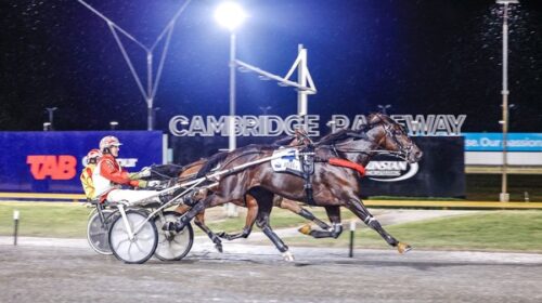 Arcee-Phoenix-blog-TAb-Trot-Cambridge-Ap