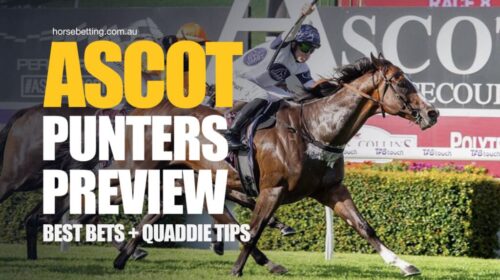 Ascot-Punters-Preview-1024x650-4-500x280