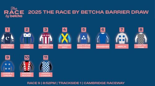 Barrier-draw-The-Race-by-betcha-2025-blo