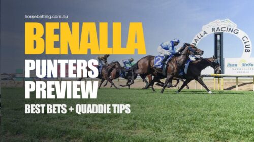 Benalla-Punters-Preview-1024x650-1-500x2