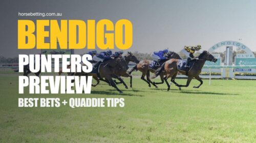 Bendigo-Punters-Preview-1024x650-1-500x2