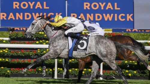 Briasa-TJ-Smith-Stakes-1024x683-2-500x28