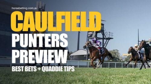 Caulfield-Punters-Preview-1024x650-1-500