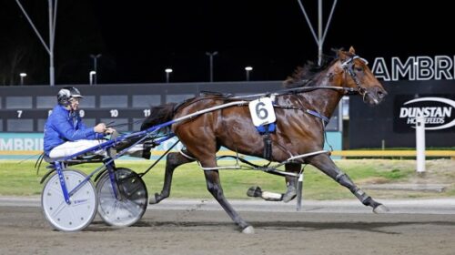 Chase-A-Dream-Flying-Mile-Cambridge-Marc