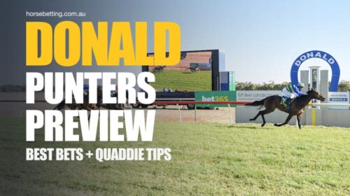Donald-Punters-Preview-1024x650-1-500x28