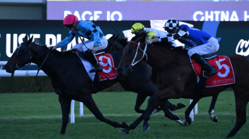 Facile-PJ-Bell-Stakes-1024x682-1-500x280