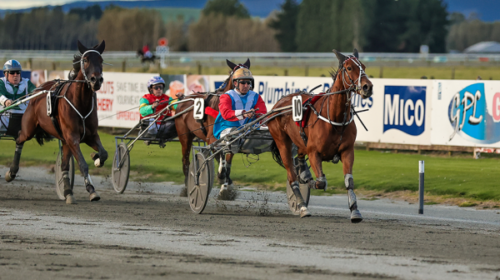 Florenceandthemachineblog__ResizedImageW