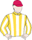 Smarticon Silks