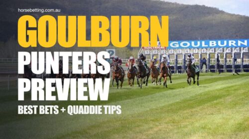 Goulburn-Punters-Preview-1024x650-2-500x