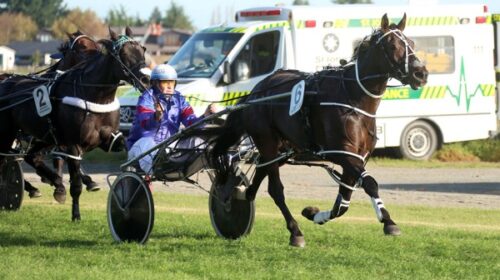 Heres-Herbie-blog-Methven-April-2025-Col