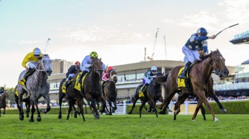 Jimmysstar-All-Aged-Stakes-1024x683-1-50