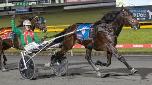 Just-Believe-ID-final-win-2023-blog-Greg