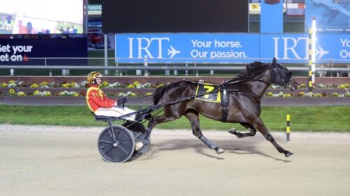 Keayang-Zahara-blog-Addington-Oaks-Nov-2