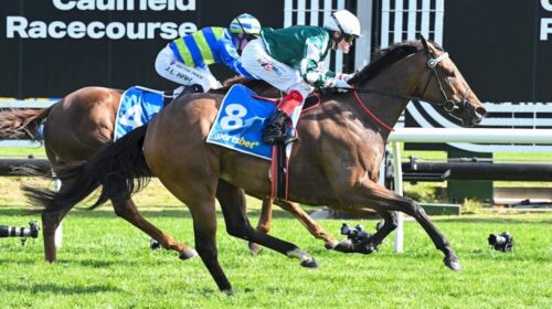 Kimochi-Sir-Rupert-Clarke-Stakes-1024x68