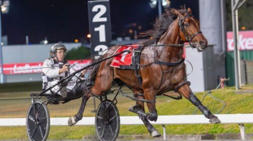 Leap-To-Fame-Blacks-A-Fake-blog-Albion-P