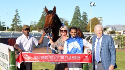 Loose-Sally-Warstep-Stakes-1024x683-1-50