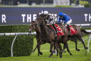 Magic Time remains unbeaten with P J Bell Stakes victory