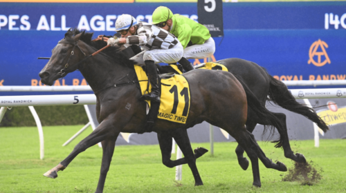 Magic-Time-All-Aged-Stakes-1024x683-1-50