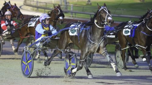 Marketplace-blog-addington-Oct-2024-v4__