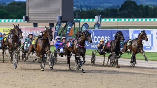 Minstrel-2nd-in-ID-heat-Menangle-Dec-202