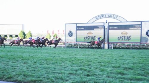 Moonee-Valley-1024x683-1-500x280.jpg