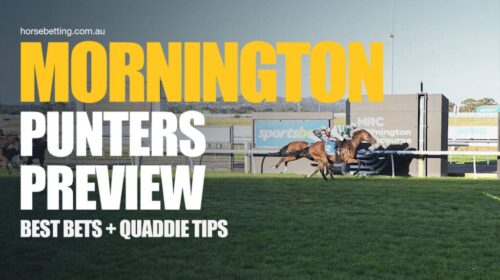 Mornington-Punters-Preview-1024x650-1-50