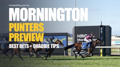 Mornington-Punters-Preview-1024x650-2-50