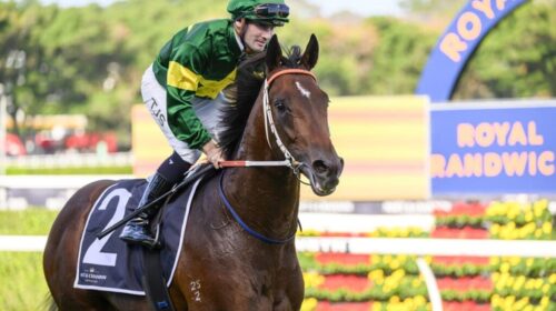 Nepotism-Champagnes-Stakes-1024x683-1-50