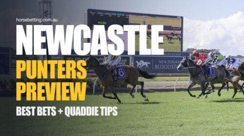 Newcastle-Punters-Preview-1024x650-1-500
