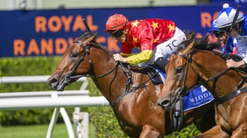 North-England-Kindergarten-Stakes-1024x6