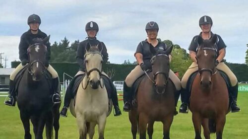 Pop-N-Ponies-line-up-4-blog-April-2025__