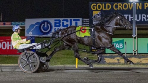 Ripples-blog-Aussie__ResizedImageWzYwMCw