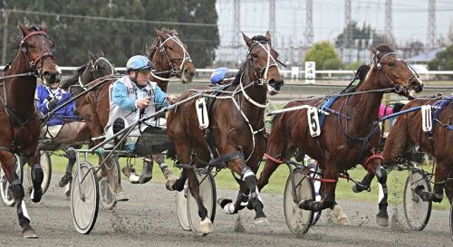 Southern-generic__ResizedImageWzYwMCwyNz