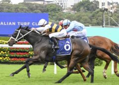 Step Aside returns a winner at Randwick