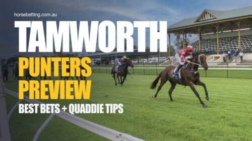 Tamworth-Punters-Preview-1024x650-1-500x