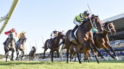 Tancred-Stakes-Day-Replays-2025-1024x683