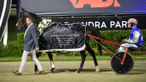 Taylor-Mile-winner-We-Walk-By-Faith-Blog